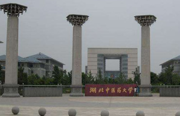 湖北中医药大学食堂